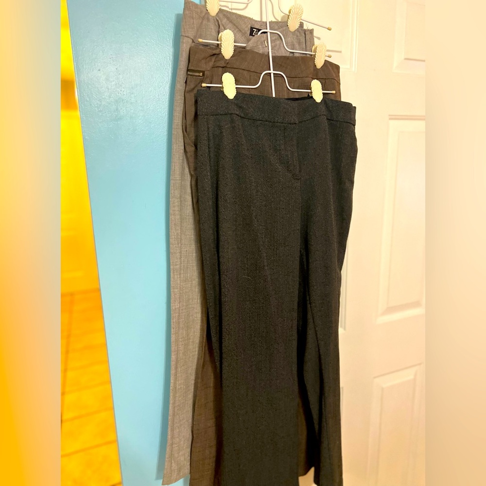 3 pairs of size 10 work plants